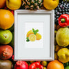 12 Mini Diamond Paintings - Fruktset