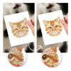 4 Mini Diamond Paintings - Kattenset