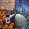Ladda in bild i Galleri Viewer, Panda