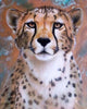 Ladda in bild i Galleri Viewer, Geopard