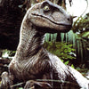 Ladda in bild i Galleri Viewer, Velociraptor | Diamond Painting