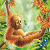 Orang-Oetang | Diamond Painting