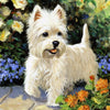 Ladda in bild i Galleri Viewer, West Highland White Terrier | Diamond Painting